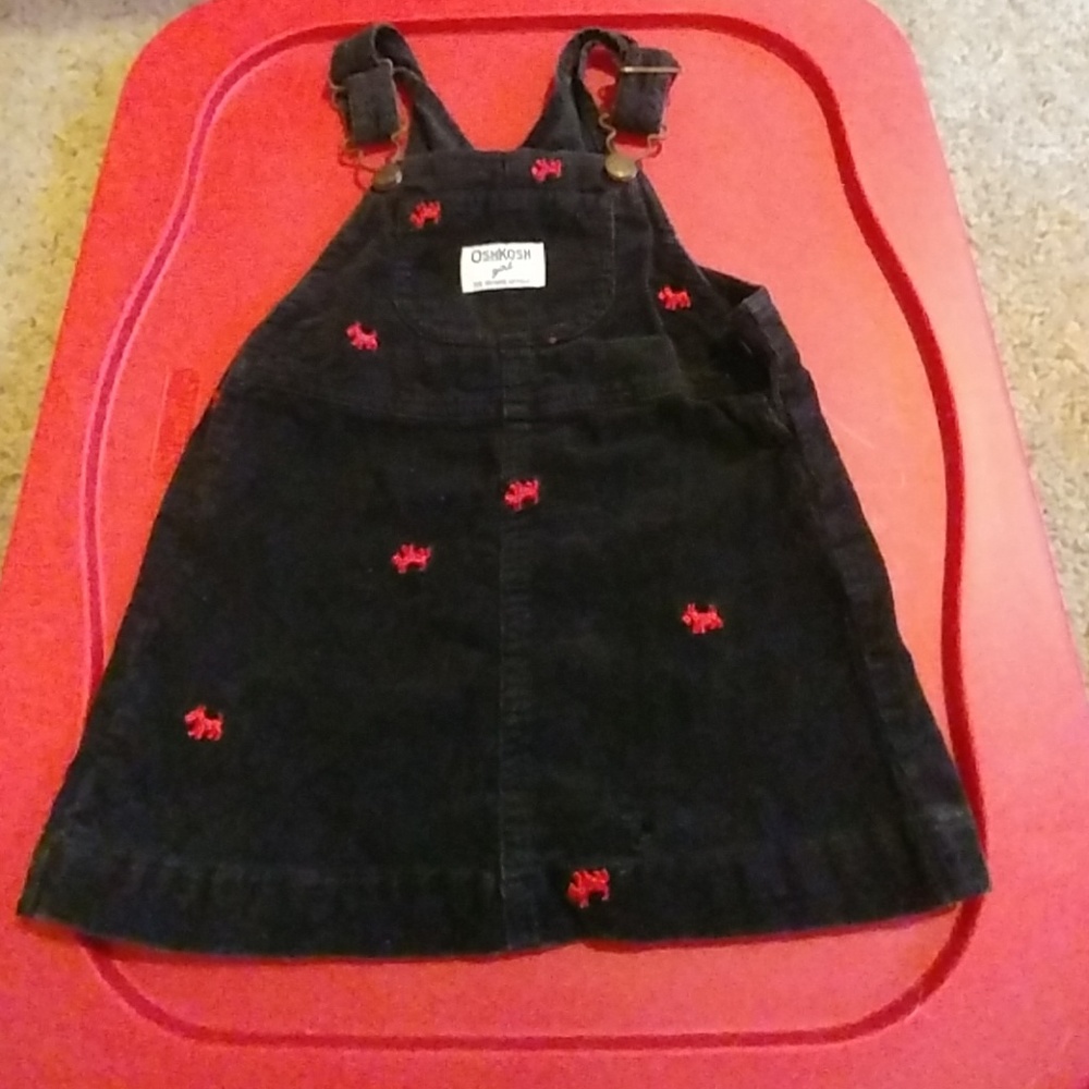 Oshkosh jumper dress